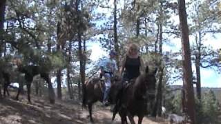 Synergist Saddles Go Get Your Horses