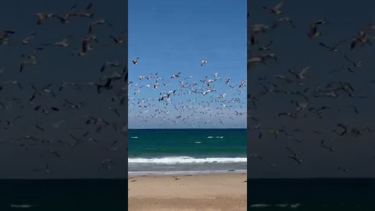 Praia de Mira, Portugal