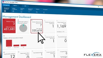 Reduce Spend & Maintain License Compliance with Software License Optimisation from Flexera Software
