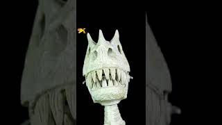 DINOSAUR- CERATOSAURUS-DINO KING SHORT #02 #dinosaurtoys #dinoking #asmr