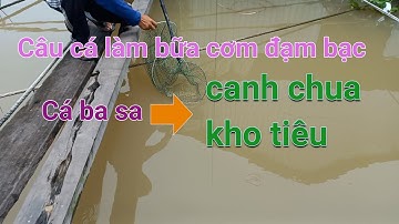 bữa cơm đạm bạc canh chua cá kho tiêu