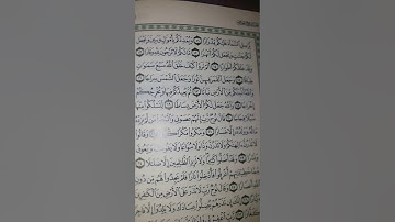 سورة نوح حفظ من ١١ إلى ١٥ المعلم محمد سلامه