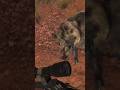 The Hunter Classic Gameplay #shorts #hunting #oddbullgaming