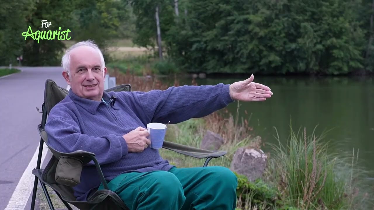 Hovory nad hladinou - Tichý lovec planktonu: tichý motor a 5m síť! (Denní rituál akvaristy)