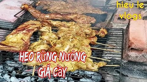Heo Rừng Nướng Giã Cầy,cách ướp gia vị thơm lừng đúng vị- hieule vlogs.