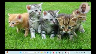 Creating SlideShow From Image Folder