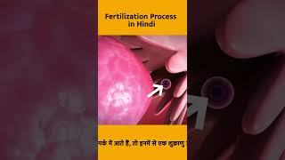 ?Natural fertilization process  | Pravi IVF