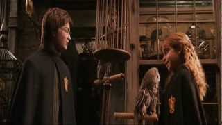 chamber harry hermione scenes secret