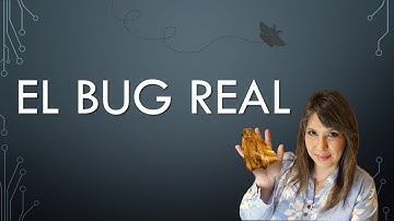 El primer bug en informática y el increíble origen de esta falla histórica