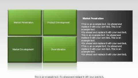 Ansoff Growth Matrix