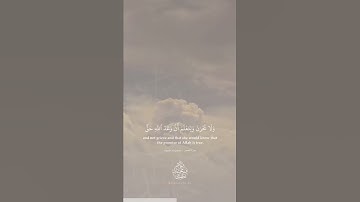 تلاوة من سورة القصص || القارئ زياد محمد حامد