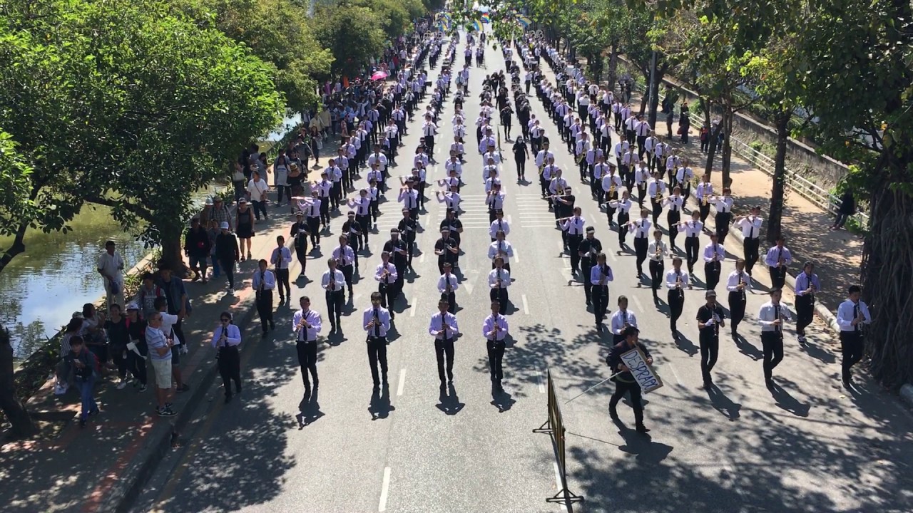 Full band งานไม้ดอกไม้ประดับ 2560