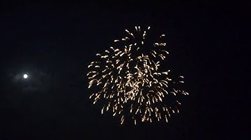 6 Inch Firework Shell - Multi Break Brocade Crown