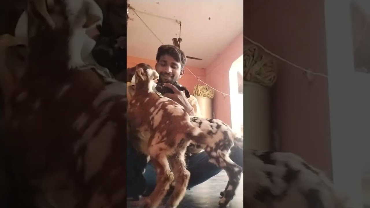 Better business लाइव है!