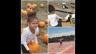 Toddler Pumpkin Patch / Oakes farm fun