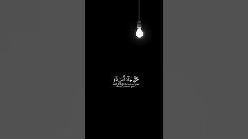 ﴿ يُنَادُونَهُمْ أَلَمْ نَكُن مَّعَكُمْ ۖ قَالُوا بَلَى ﴾ | القارئ ياسر الدوسري 🌿🤍🌙