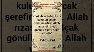 Allah affedenleri sever! #hadis #ayet #güzelsözler #keşfet #dua #432hz #short #muslim #art #ramadan
