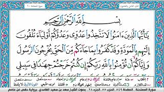 سورة الممتحنة سعد الغامدي ملون صفحة صفحة جودة عالية