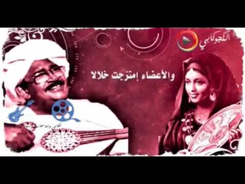 هاشم ميرغني شوف العين قالتلو لالا حالة واتساب  حالات سودانيه عظيم  تصاميم