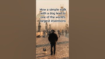 How a simple walk with a dog lead to one of world