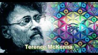 ▶️ Terence McKenna speaks about DMT (Now with subtitles in EN NL)