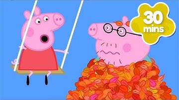 Daddy Pig FALLS in LEAF Mountain! 🍁 Peppa Learns About Autumn! 🍂 Peppa Pig Full Episodes | 30 Mins