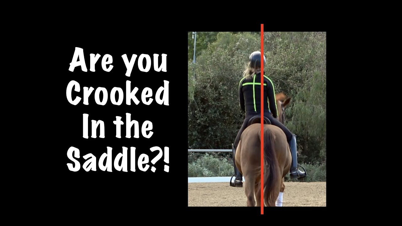 Dressage Horse and Rider Straightness