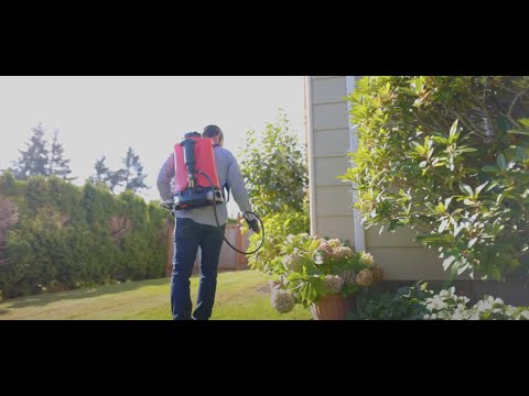 ant pest control near me
