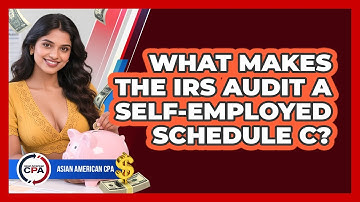 What Makes The IRS Audit A Self-employed Schedule C? - Asian American CPA