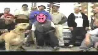 видео: Квартални братя и Гумени глави - За наш'те врагове картинка: Квартални братя и Гумени глави - За наш'те врагове