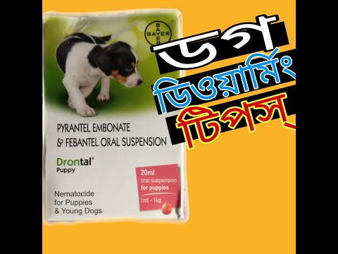 ভিডিও: কুকুরগুলিতে ক্যাপিলারিয়াসিস - কুকুরের কীট - কৃমি লক্ষণ ও চিকিত্সা
