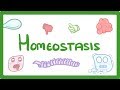 GCSE Biology - Homeostasis  #38