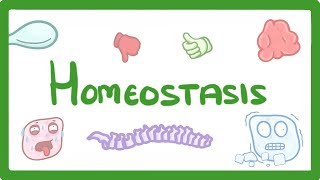 GCSE Biology  Homeostasis  #54