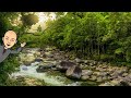 balade en forêt