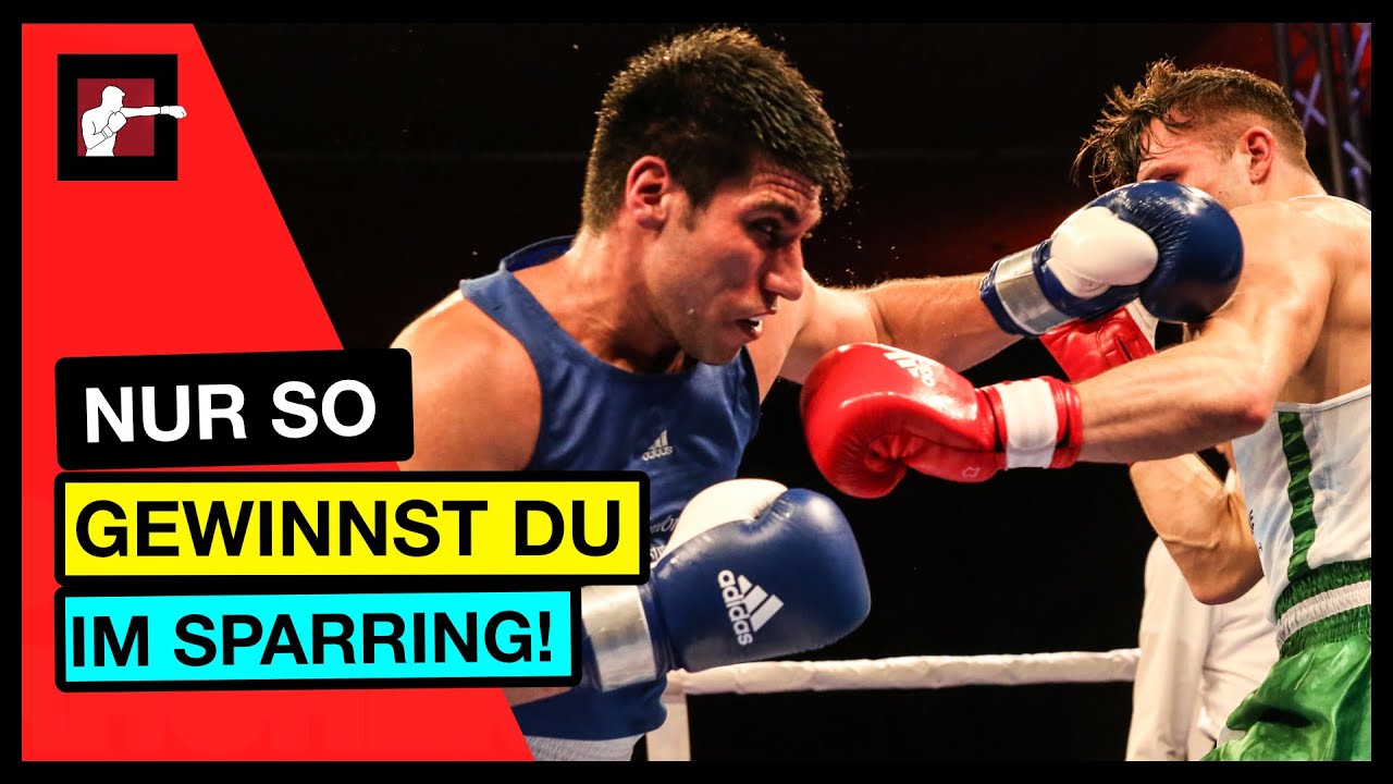 11 Runden Sparring für Boxkampf gegen Michael Smolik - RINGLIFE