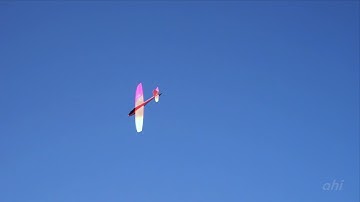 Dreamflight Ahi at Point Fermin