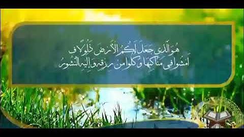 تلاوة عطره للقارئ الشيخ كمال المداني