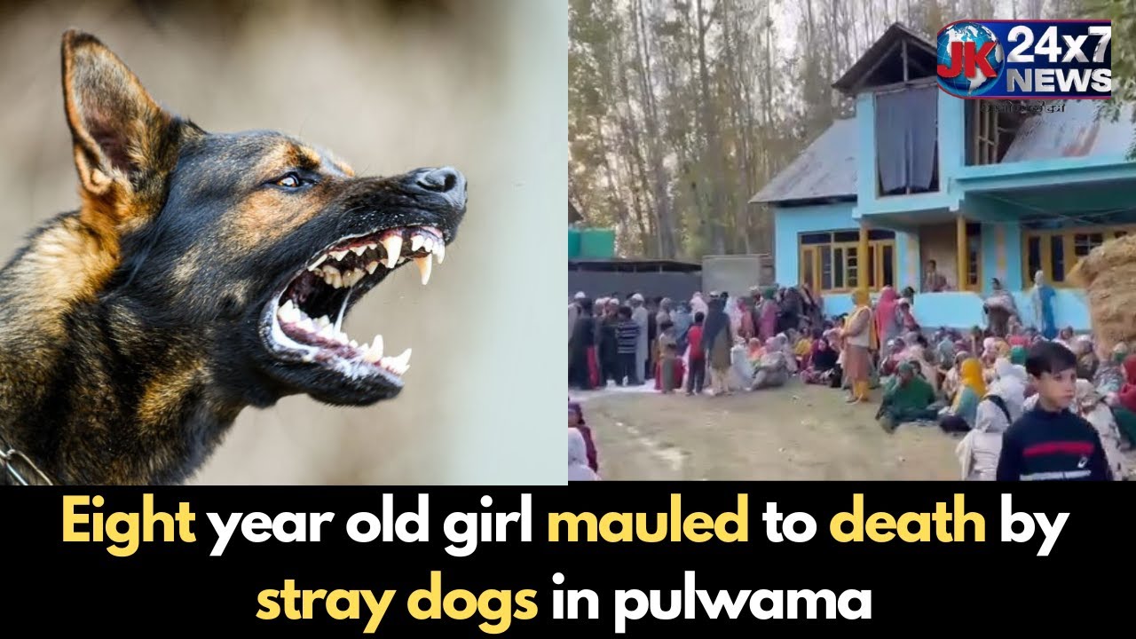 Eight year old girl mauled to death by stray dogs in Beighpora ...