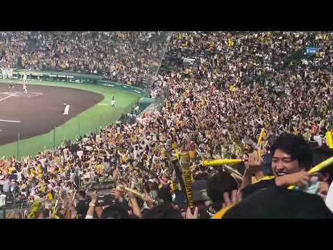 【阪神】しびれた8回大逆転劇シーン♪チャンテの集大成♪現地の臨場感をお楽しみください！2023年11月2日　#阪神タイガース #日本シリーズ