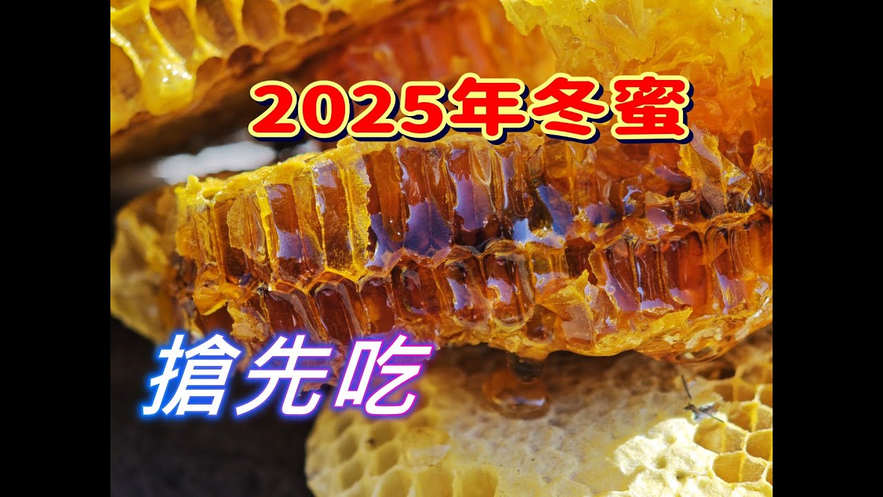 入冬第5窩野生蜂蜜-河道-跟著阿浦來開箱真實的野蜜吧