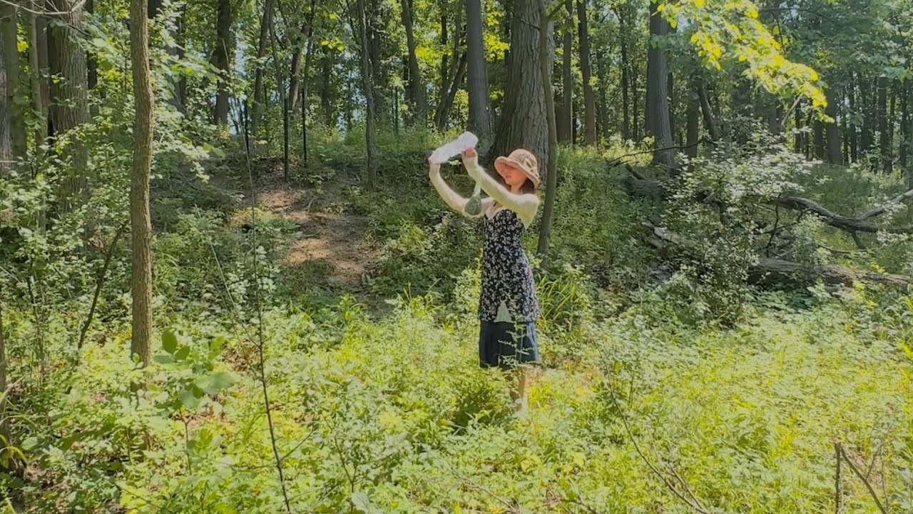 Dreams of Zephyrus - Isadora [official video]