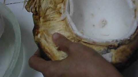 Cách lấy cơm dừa làm mứt dừa đơn giản.
