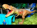 【恐竜】ジュラシック・ワールド/ドミニオン ティラノサウルスに追われてピンチなオーウェンにブルーが登場！Jurassic World Dominion