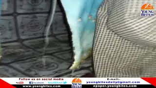 Hideout Of Tral Encounter Where 6 Millitants Were Killed