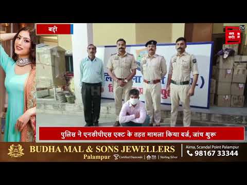 बद्दी पुलिस के हत्थे चढ़ा नशा तस्कर, 5 किलो गांजा बरामद