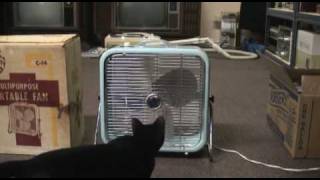 The 1967 Lakewoodwindsor Model C-14