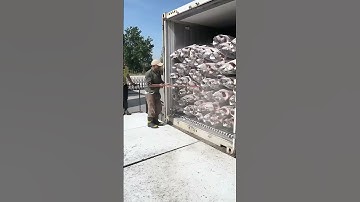 Brilliant Methods for Unloading Frozen Tuna