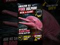 Scientists Were Shocked By This Pink Creature!          #viral #trending #shorts #facts