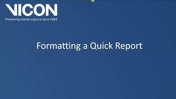 Nexus 2 tutorial - Quick Reports