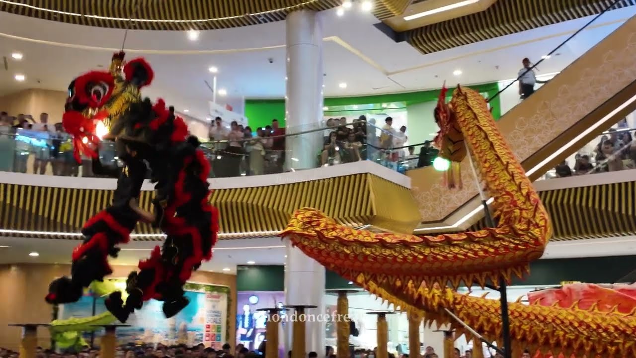 [4K] 2025 Fellowship Cup - 马来西亚雪蘭莪玄龍體育會 Xuan Long Dragon and Lion Dance Selangor